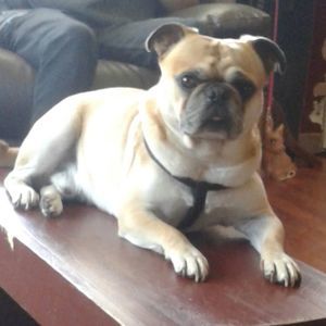 Meet your Posher, Carol